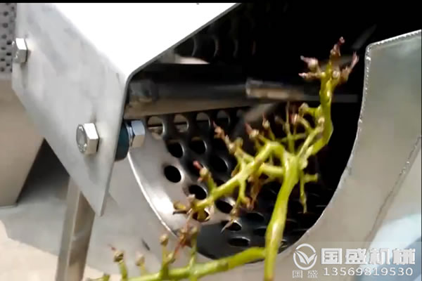葡萄除梗机的作用