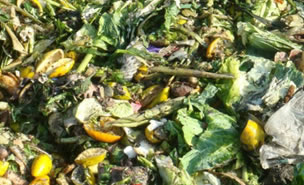 菜场91视频专区免费看