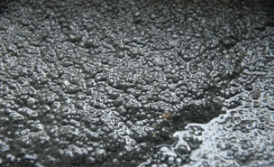 污泥91视频专区免费看